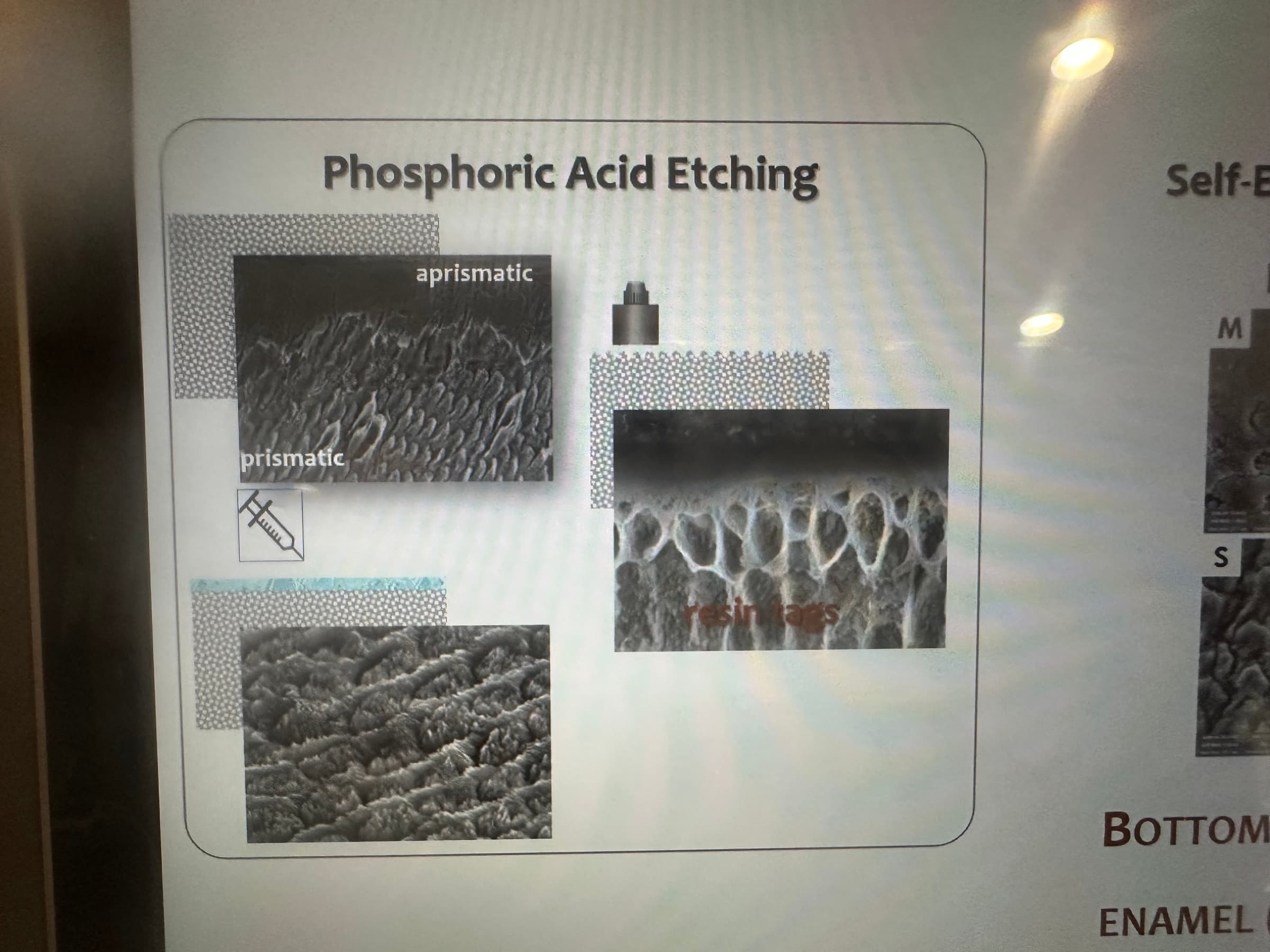 Advanced Dental Adhesive Materials by Ana Bedran-Russo — slide 10