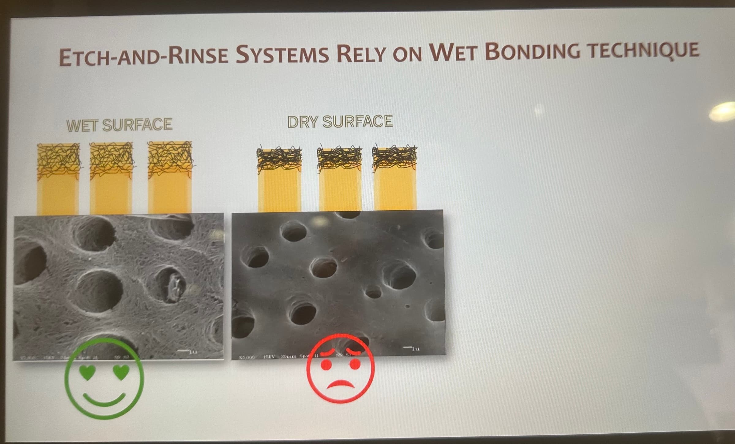 Advanced Dental Adhesive Materials by Ana Bedran-Russo — slide 20