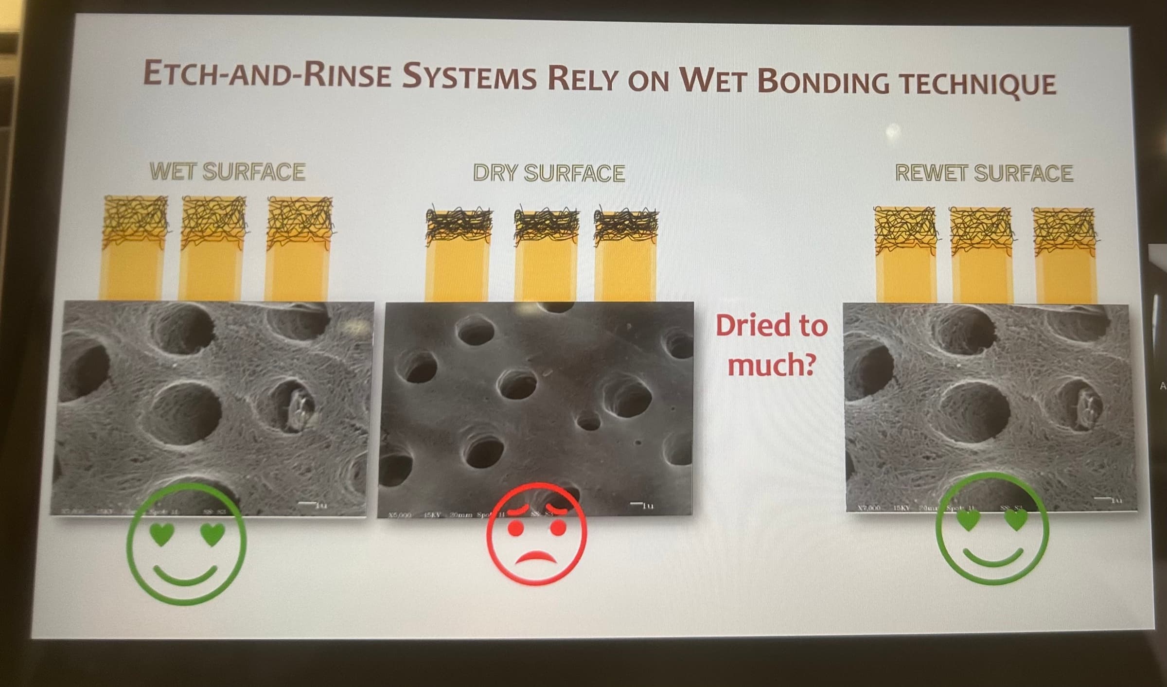 Advanced Dental Adhesive Materials by Ana Bedran-Russo — slide 21