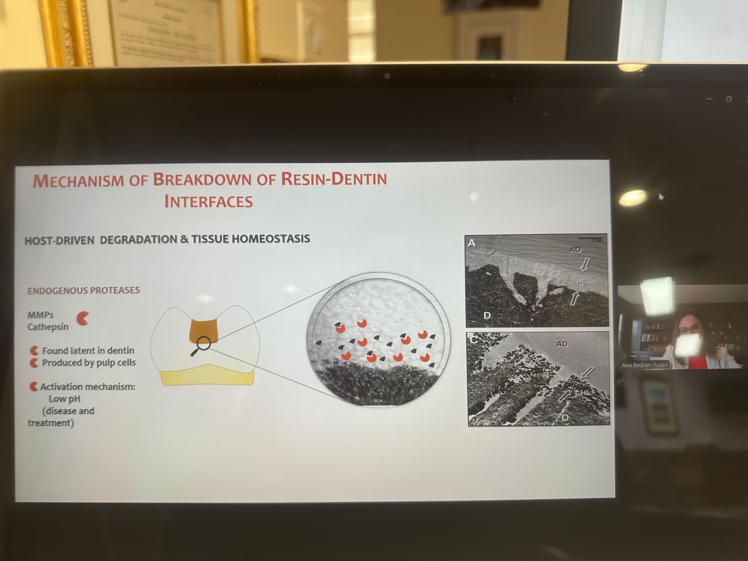 Advanced Dental Adhesive Materials by Ana Bedran-Russo — slide 22