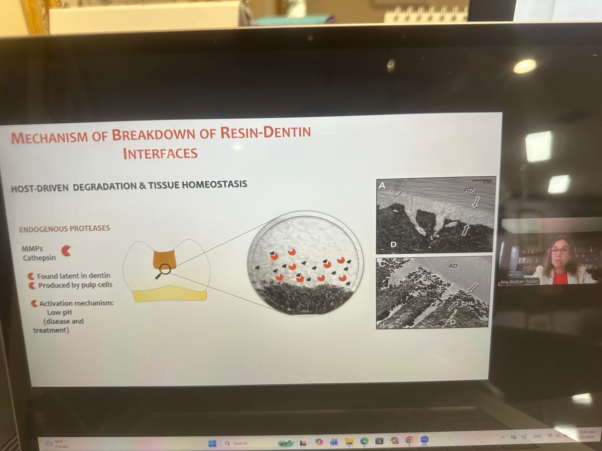 Advanced Dental Adhesive Materials by Ana Bedran-Russo — slide 23