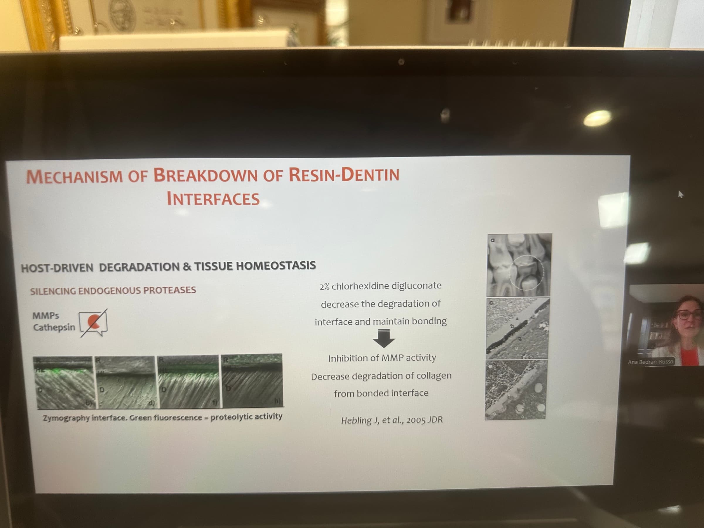 Advanced Dental Adhesive Materials by Ana Bedran-Russo — slide 24