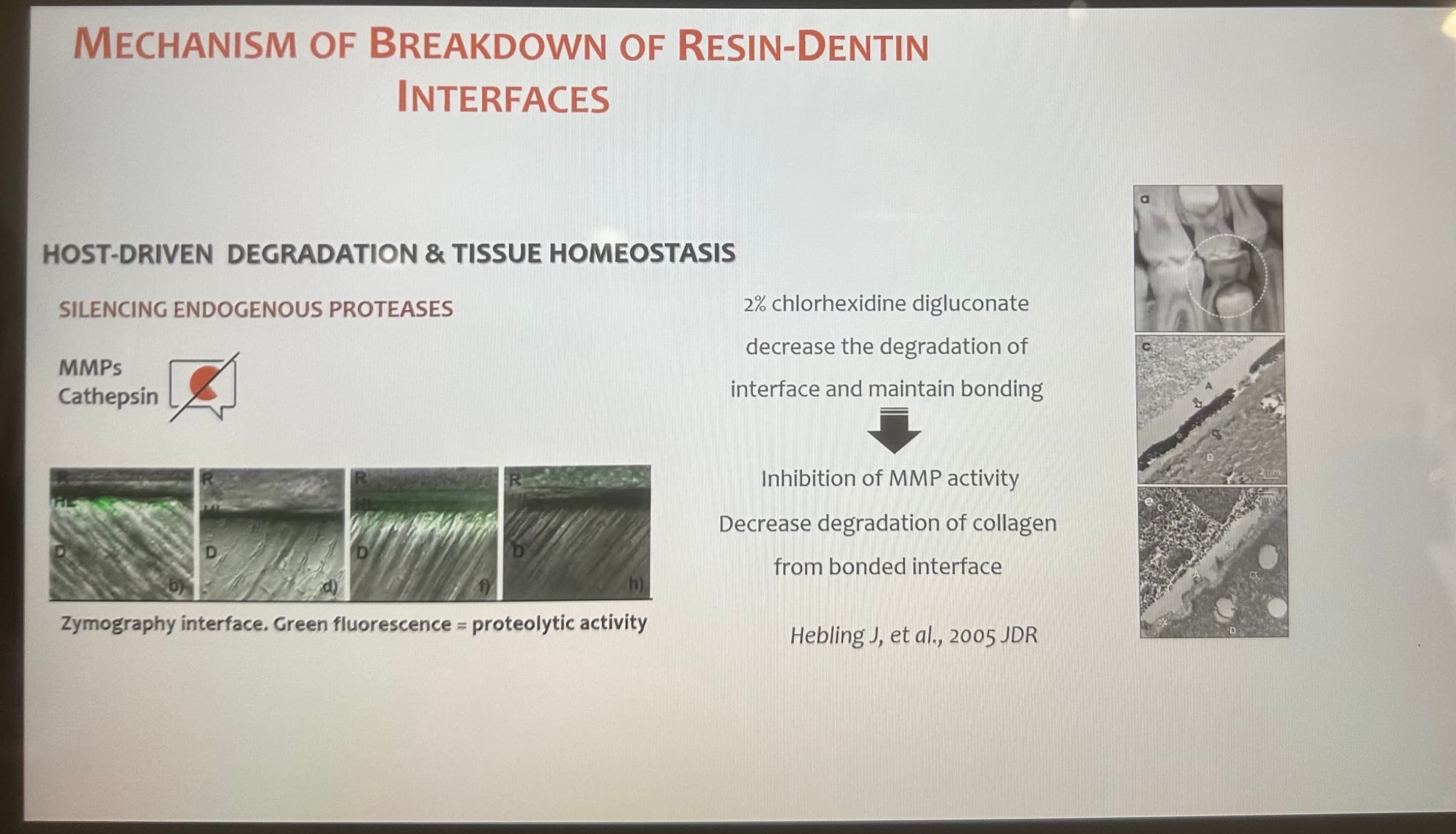 Advanced Dental Adhesive Materials by Ana Bedran-Russo — slide 25