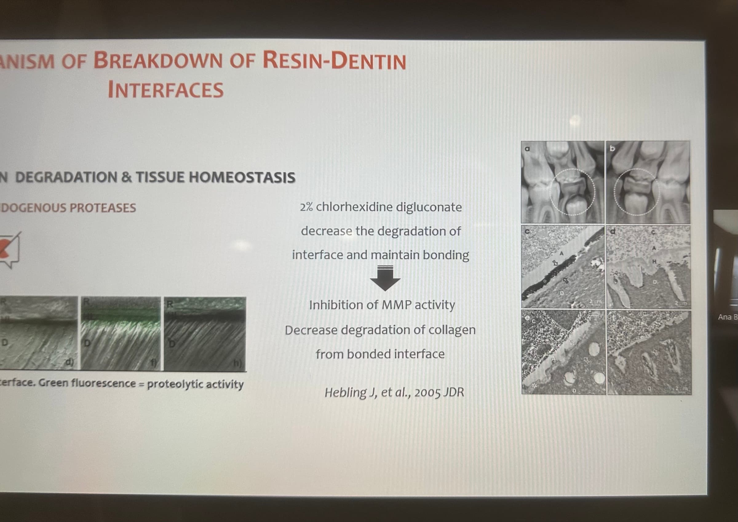 Advanced Dental Adhesive Materials by Ana Bedran-Russo — slide 26