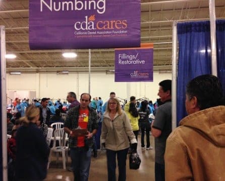 Volunteer work in action — photo 3