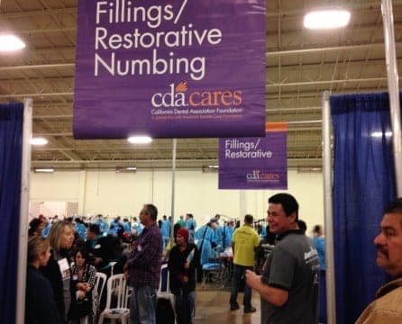 Volunteer work in action — photo 1